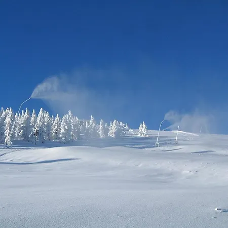 Gasthof-appartements Sportalm 게스트하우스 *