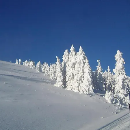 Gasthof-appartements Sportalm